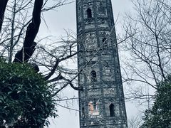 -上海佘山国家森林公园天马山园