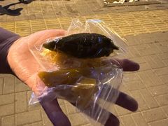 -南楼煎饼(南楼总店)