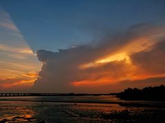 -宝安西湾红树林湿地公园