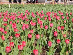 -长春公园(普阳街道)