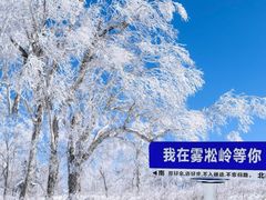 -雪谷
