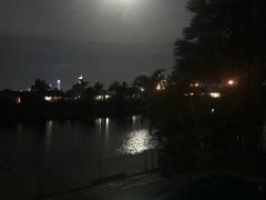 -黄金海岸