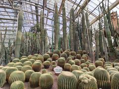 -南山植物园
