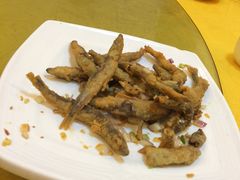 -鸿达渔港