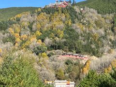 -五台山圆照寺