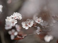 -黄兴公园