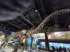 -国家自然博物馆