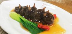 -贝美月子中心(海璟店)