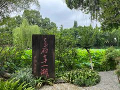 -桂湖森林公园