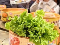 -龍歌自助小火锅(市南金茂湾店)