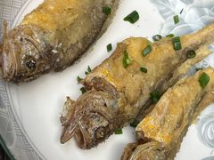 干煎小黄鱼-小河无名面馆
