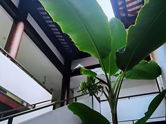 -禅驿嘉定院子-禅欢江景餐厅·中餐·户外烧烤定制(乐山大佛店)