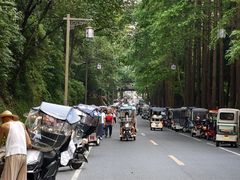 -青城山