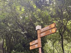 -惠山国家森林公园