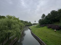 -合肥三国新城遗址公园