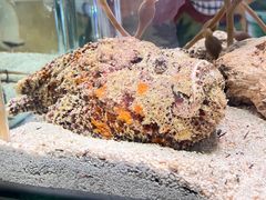 -太平洋海底世界