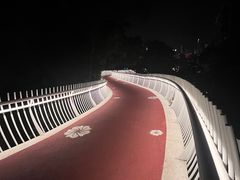 -金鸡山公园