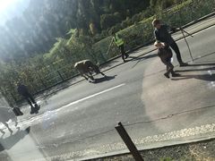 -瑞士英格堡小镇