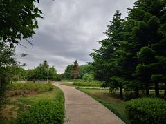 -长春公园(普阳街道)