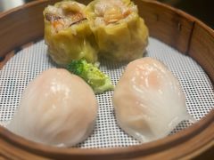 -东方御宴海鲜酒楼(棕泉酒店)