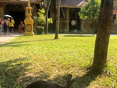 -西双版纳总佛寺