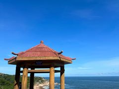 -广东惠东海龟国家级自然保护区