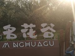 -名花谷生态庄园