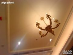 -广州富力丽思卡尔顿酒店