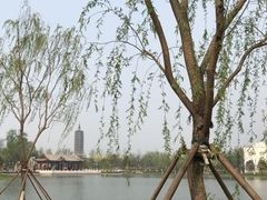 -西海子公园