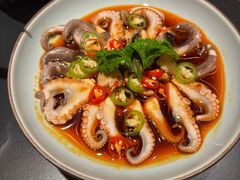 捞汁八爪鱼-無二炙坊·和牛烧肉(大钟寺1733店)