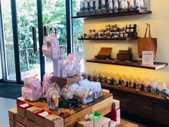 -星巴克(迪士尼小镇店)