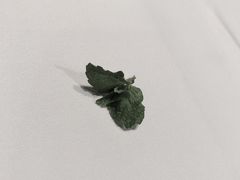 -GreyWhale灰鲸餐厅(武汉国际广场店)