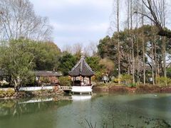 -上海醉白池公园