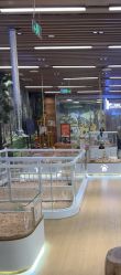 -小象动悟公园(龙湖亦庄天街店)