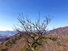 -香山公园
