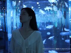 -石家庄海洋公园