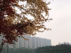 -南湖梦幻岛