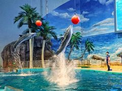 -福州罗源湾海洋世界旅游区