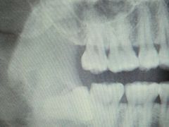 -青岛市口腔医院(总院)