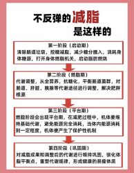 -Fundi张玉珊修身堂·indiba·BTL科技瘦身