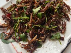 -第一家驴肉(红木城店)
