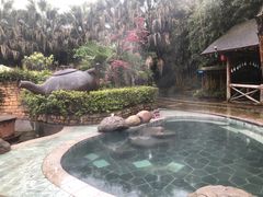 -雅安楠水阁温泉酒店