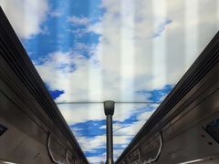 -正宗八宝冰饭·非遗冰饭·烧烤(奎桥店)