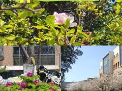 -浙江大学(玉泉校区)