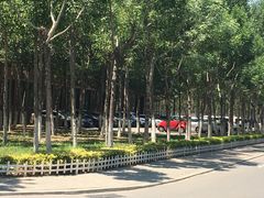-天津现代职业技术学院