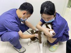 -福州肆爪动物医院