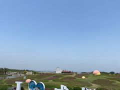 -空港花田景区