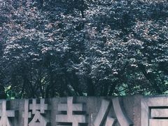 -木塔寺遗址生态公园