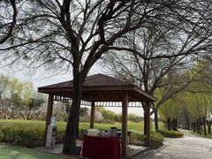 -龙熙温泉高尔夫俱乐部