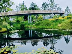 -上海植物园-4号门售票处